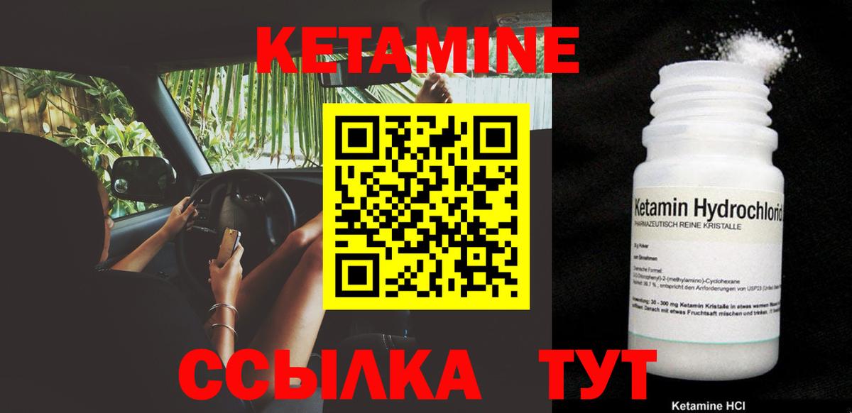 APVP Новозыбков