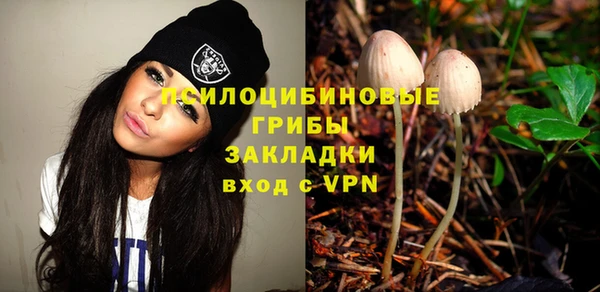 гашик Кукмор