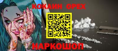стаф Гатчина