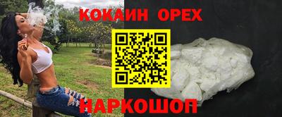 стаф Гатчина