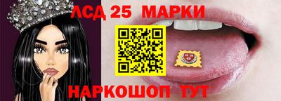 стаф Гатчина