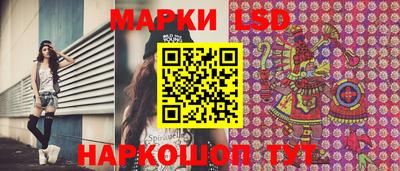 стаф Гатчина