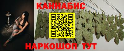 гашик Гай