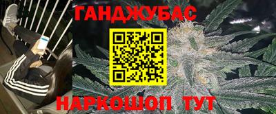 стаф Гатчина