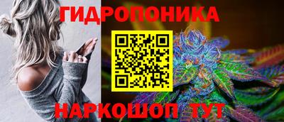 гашик Гай
