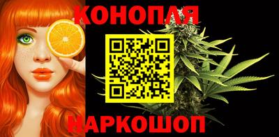 стаф Гатчина