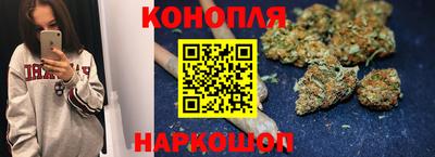 стаф Гатчина