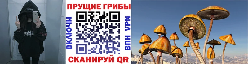 Галлюциногенные грибы мицелий  Новозыбков 