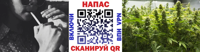 Шишки марихуана планчик  Новозыбков 
